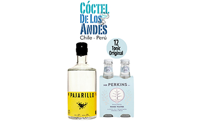 CDLA Pack-40 Gin Pajarillo 700ml