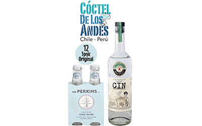 CDLA Pack-6 Gin Los Andes 700ml