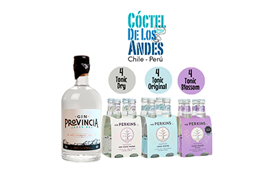 CDLA Pack-45 Gin Provincia 700ml